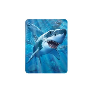 Obrázek z Magnet 3D 7x9cm - žralok bílý (25) 